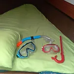 Papifrank