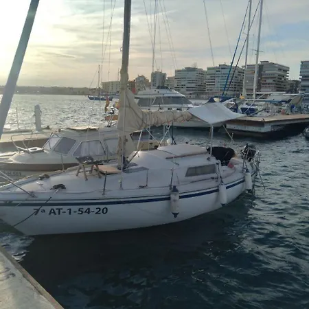 Papifrank تورّيفيِخا